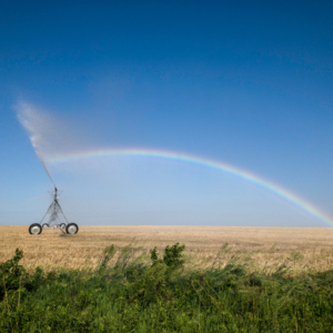 Nebraska-rainbow