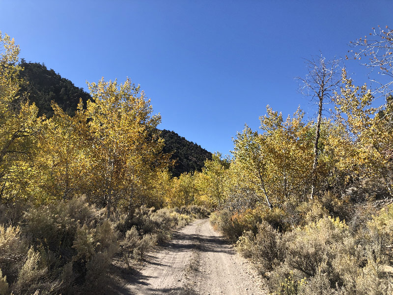 Read more about the article Scouting: Basque Summit/Smith Creek Ranch