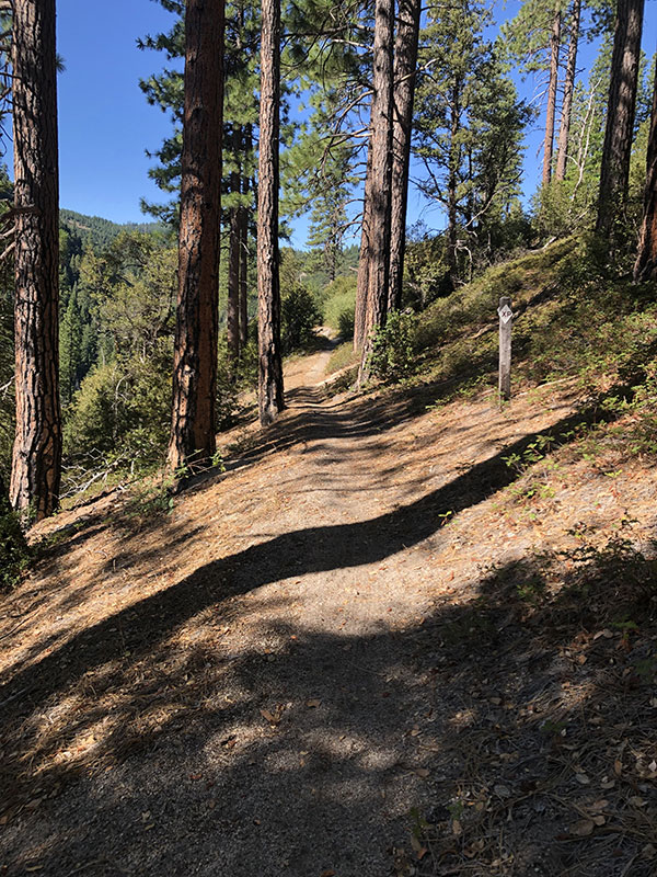nice-trail